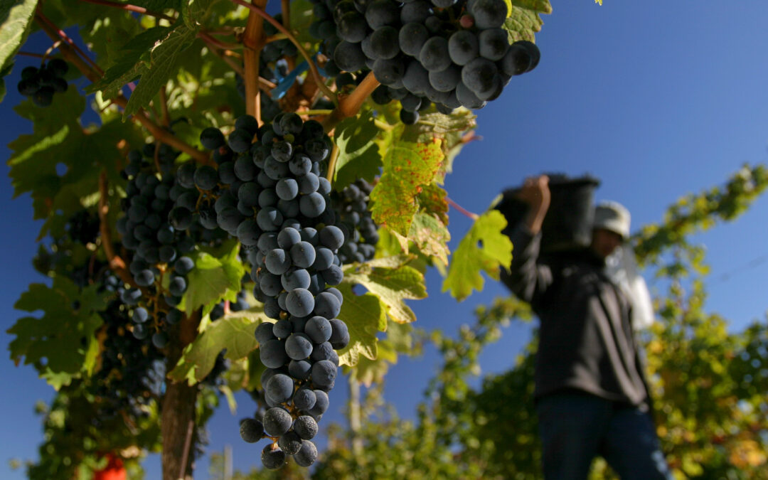 San Juan: Proyecto de Ley de Uso de Jugos Naturales