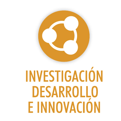Programa Investigación, Desarrollo e Innovación