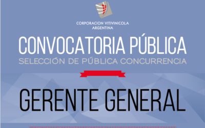 CONVOCATORIA PÚBLICA. GERENTE GENERAL