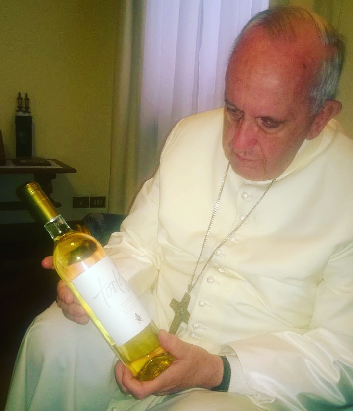 El Papa Francisco usó el vino “TODOS” para declarar santo al Cura Brochero