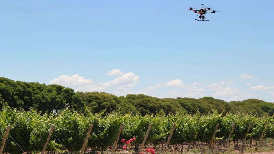 Tecnología aplicada a la producción vitivinícola