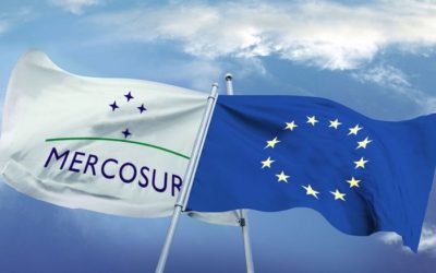Acuerdo MERCOSUR- Unión Europea: Informe del Observatorio Vitivinícola Argentino