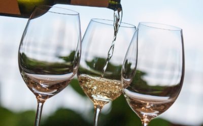 Mendoza y COVIAR abren un ciclo para promover el turismo del vino