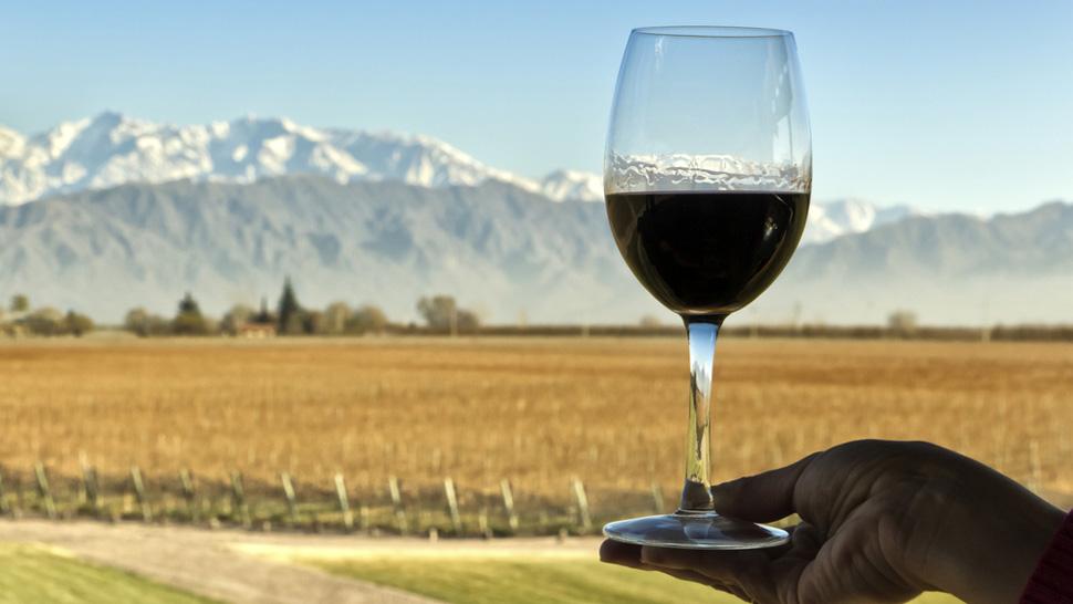 El turismo del vino consolida su estrategia federal de reactivación