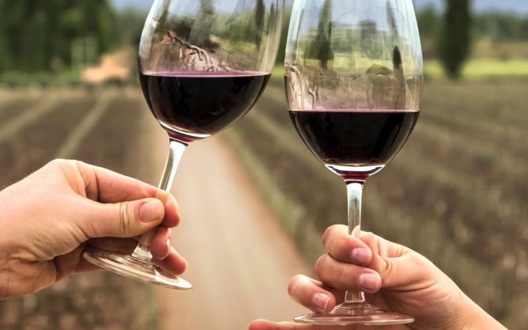 La elaboración de vino y el enoturismo podrán acceder a una asistencia mayor para enfrentar la crisis del COVID19