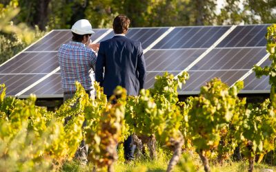 La vitivinicultura trabaja en red para gestionar mejor la energía