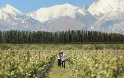 Argentina lanza un plan internacional para salir a buscar turistas del vino