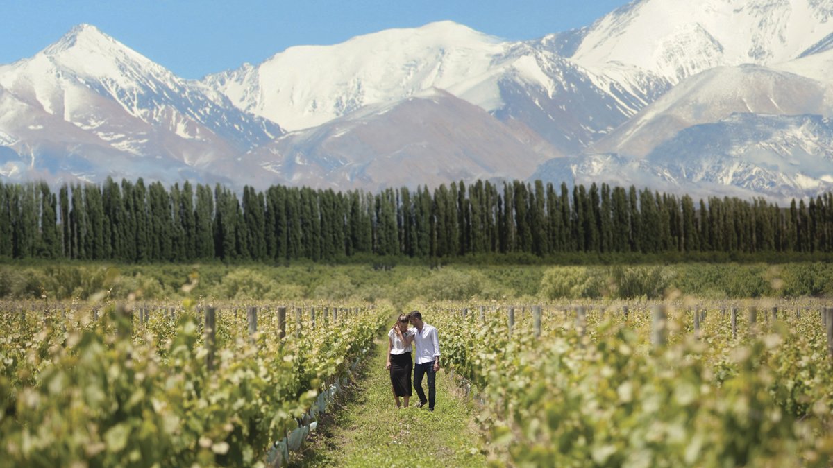 Mendoza será el centro del turismo del vino y la gastronomía con dos eventos nacionales