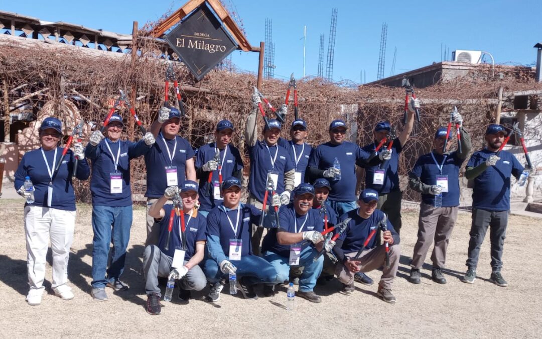 El campeonato para elegir a los mejores podadores de San Juan ya tiene ganadores