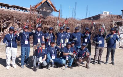 El campeonato para elegir a los mejores podadores de San Juan ya tiene ganadores