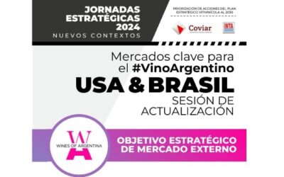 USA y Brasil: Actualización de mercados para el Vino Argentino