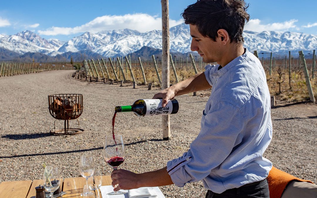 En seis años, la cantidad de bodegas abiertas al turismo en Mendoza creció 57,5%