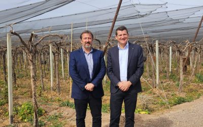 Reunión con el Director General de la Organización Internacional de la Viña y el Vino