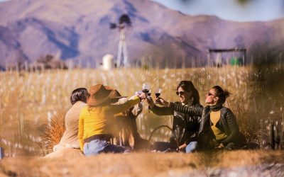 Se vienen las V Jornadas Nacionales de Turismo del Vino en Córdoba y estás invitado