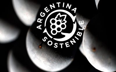 La sostenibilidad en el centro del negocio vitivinícola con 26 bodegas certificadas en 14 provincias