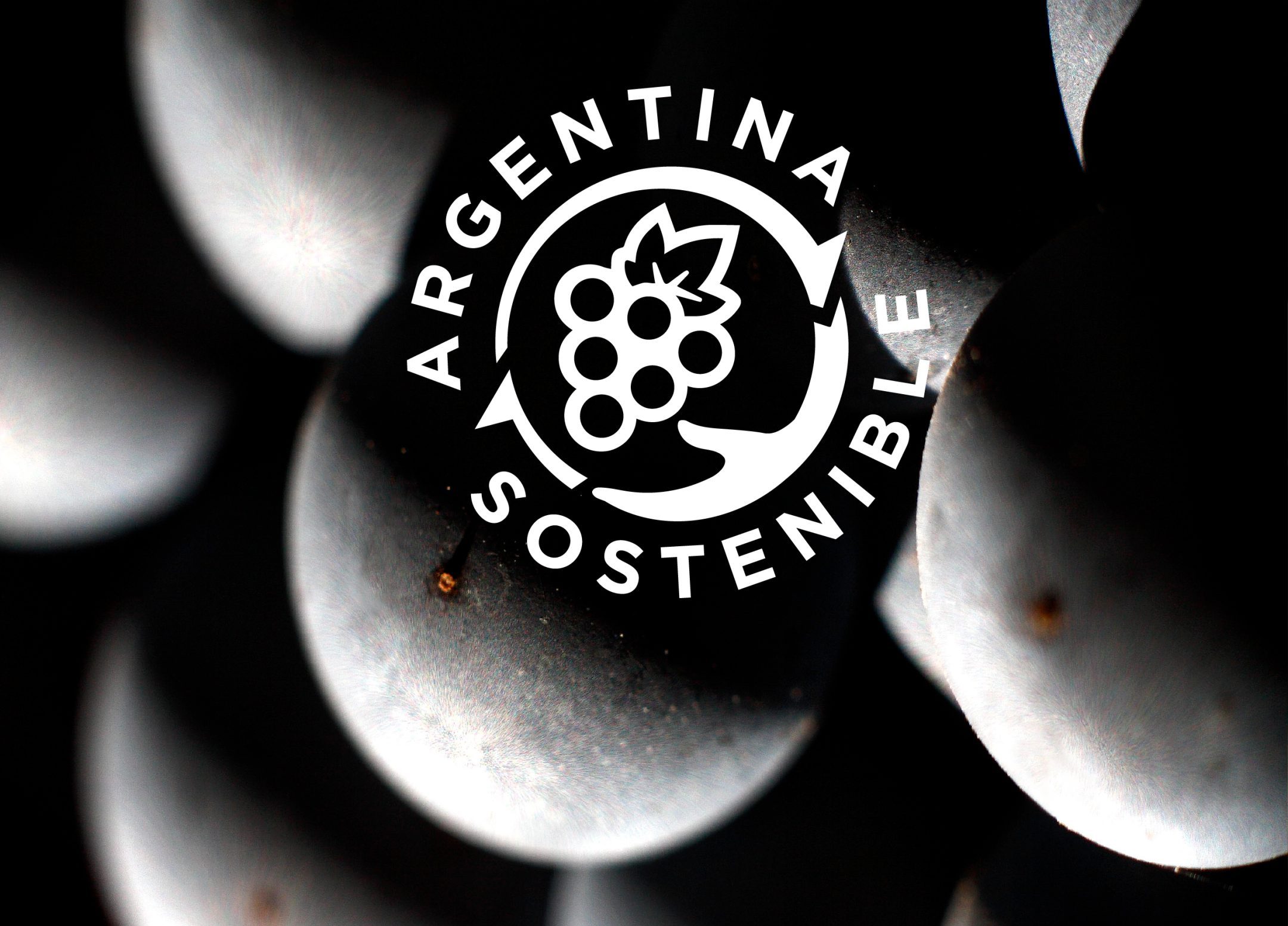 La sostenibilidad en el centro del negocio vitivinícola con 26 bodegas certificadas en 14 provincias