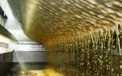 El proyecto de ley para promover el uso de jugos naturales llegó al Congreso