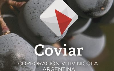 Comunicado a los establecimientos vitivinícolas de todo el país
