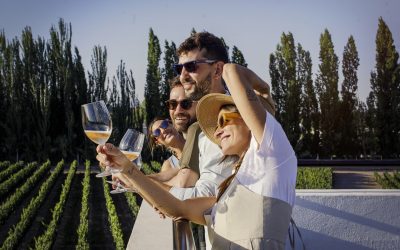 Queremos un turismo del vino responsable, competitivo e innovador y lanzamos la primera Plataforma de Sostenibilidad Enoturística